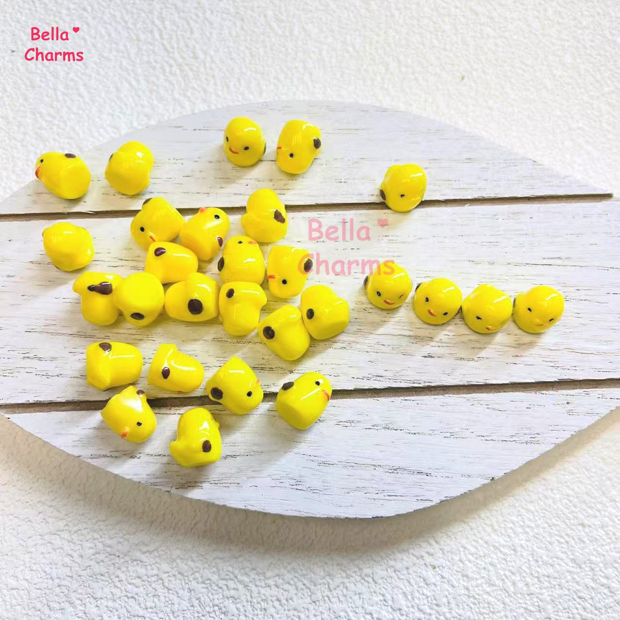 Mini chicks charm