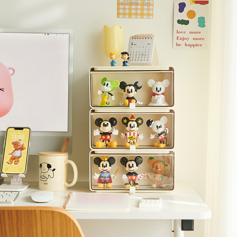 Desktop Storage Box