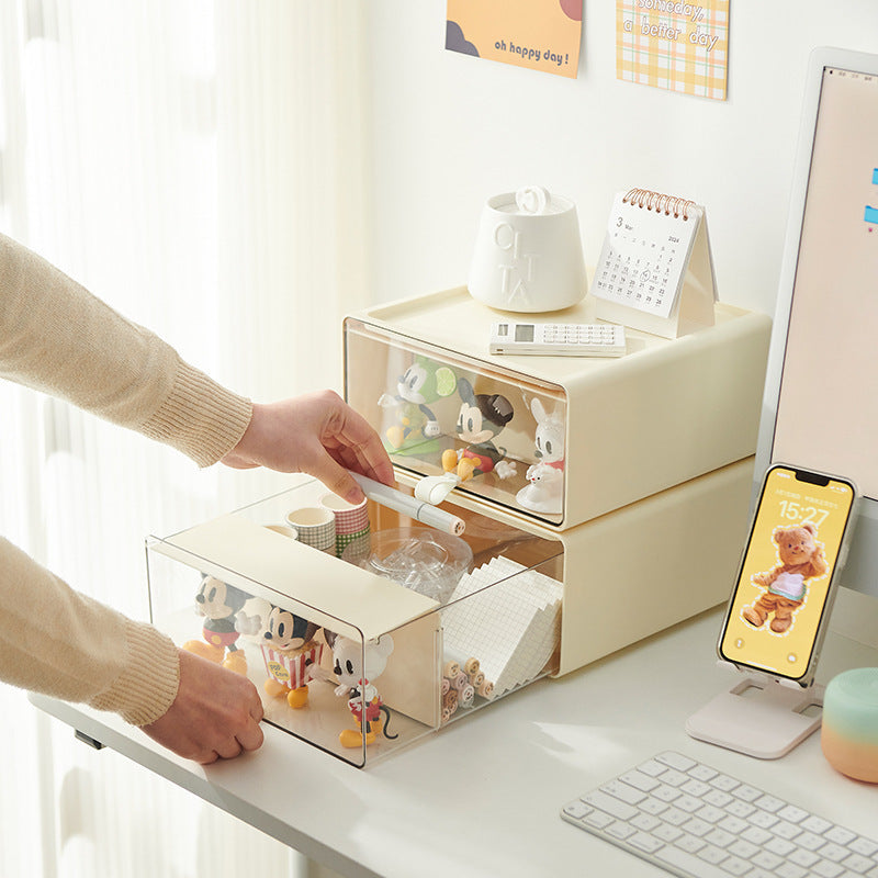 Desktop Storage Box