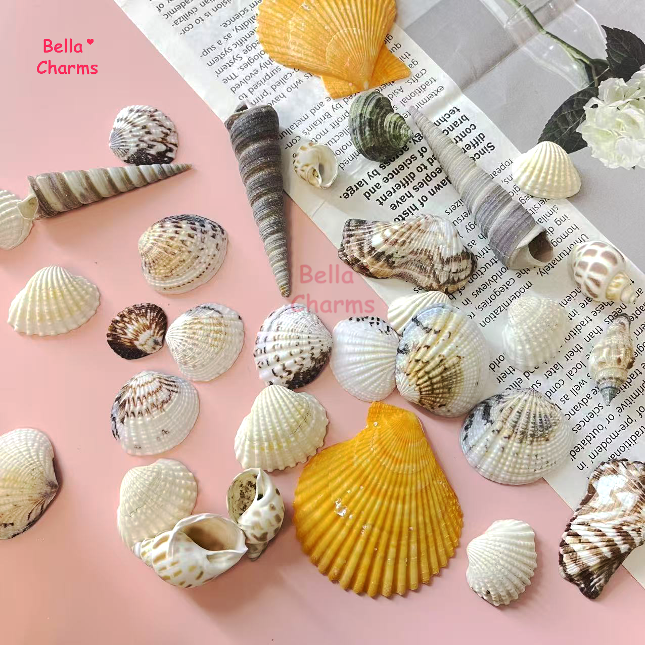 Sea shell charm