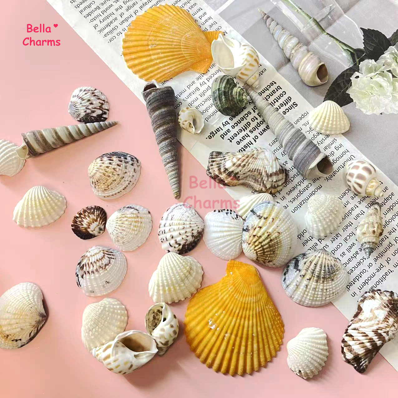 Sea shell charm