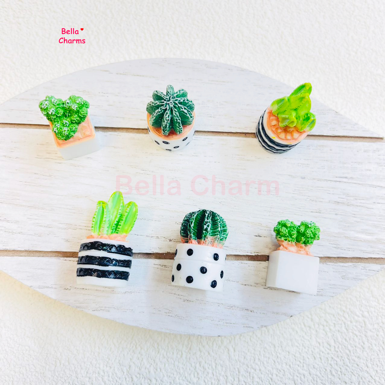 Home Cactus Charm