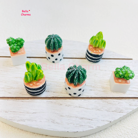 Home Cactus Charm